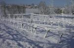 Vignes de monteberiot sous la neige
