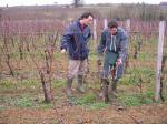 Michel et Philippe dans les vignes